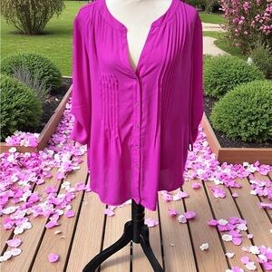 Chaus Fuchsia Button-Down Blouse